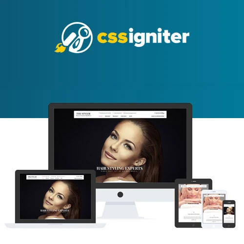 CSS Igniter The Styler WordPress Theme