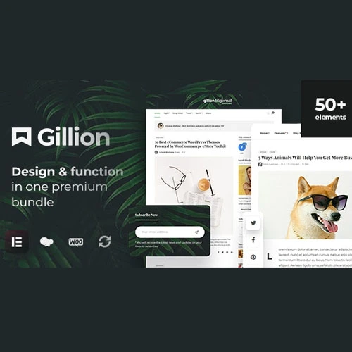 Gillion Multi-Concept Blog Magazine & Shop WordPress AMP Theme