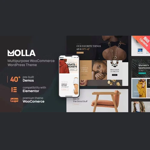 Molla Multi-Purpose WooCommerce Theme