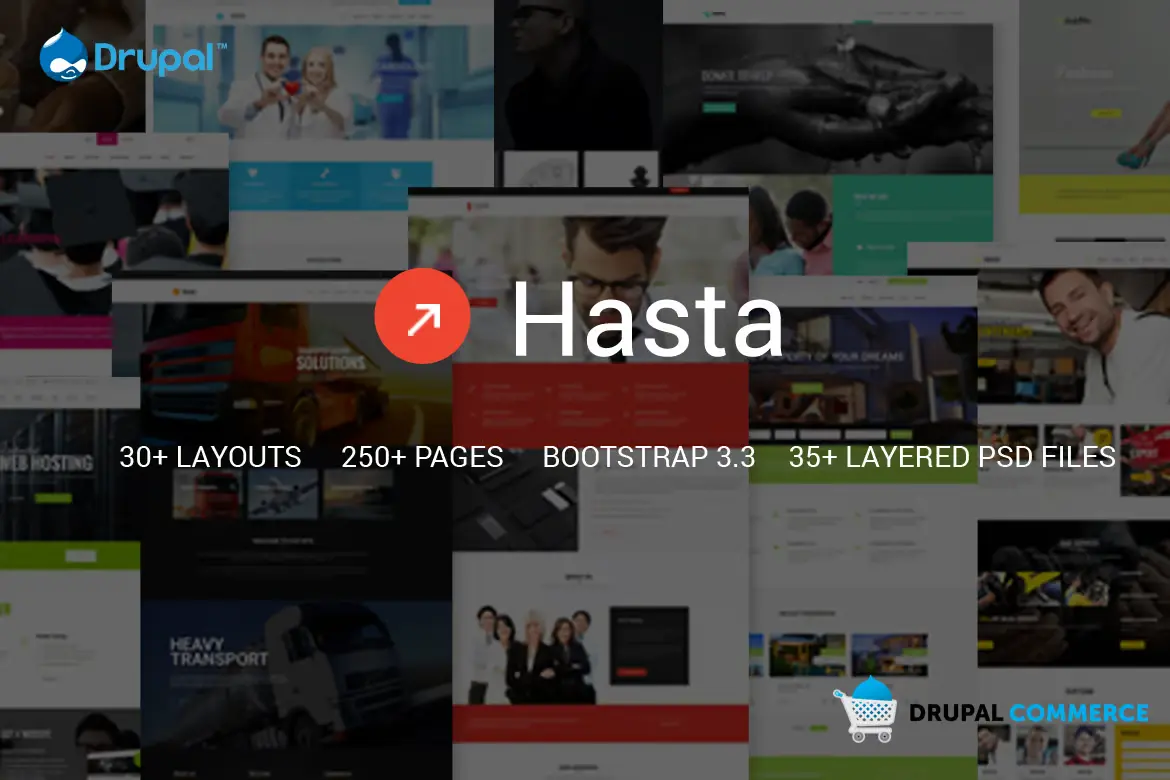 Hasta - Multipurpose Responsive Commerce Theme