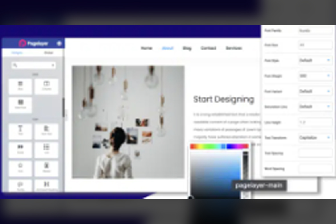 Pagelayer Pro v2.0.3