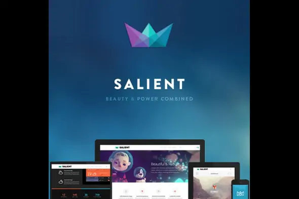 Salient – Theme of Multi-Purpose Responsive Nature