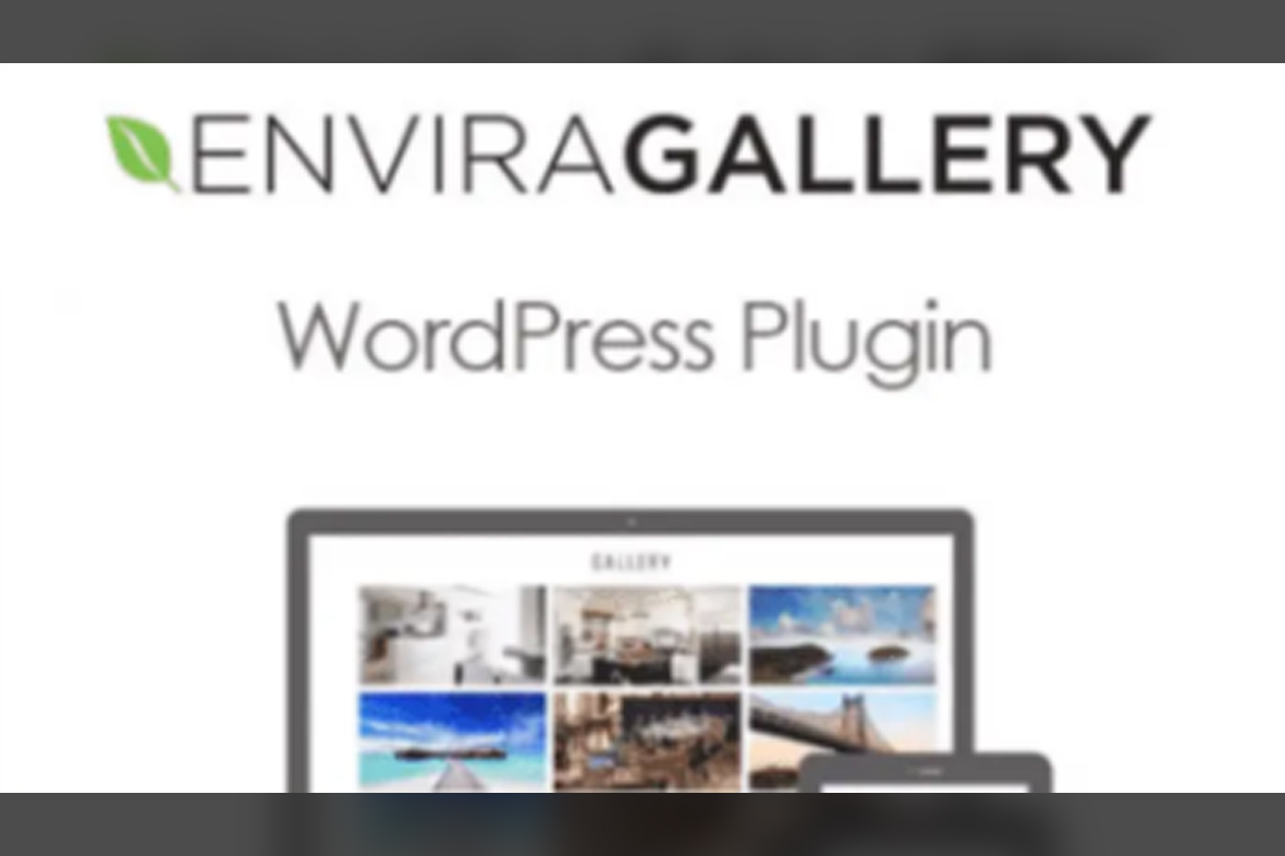 Envira Gallery WordPress Plugin + All Addons v1.11.0