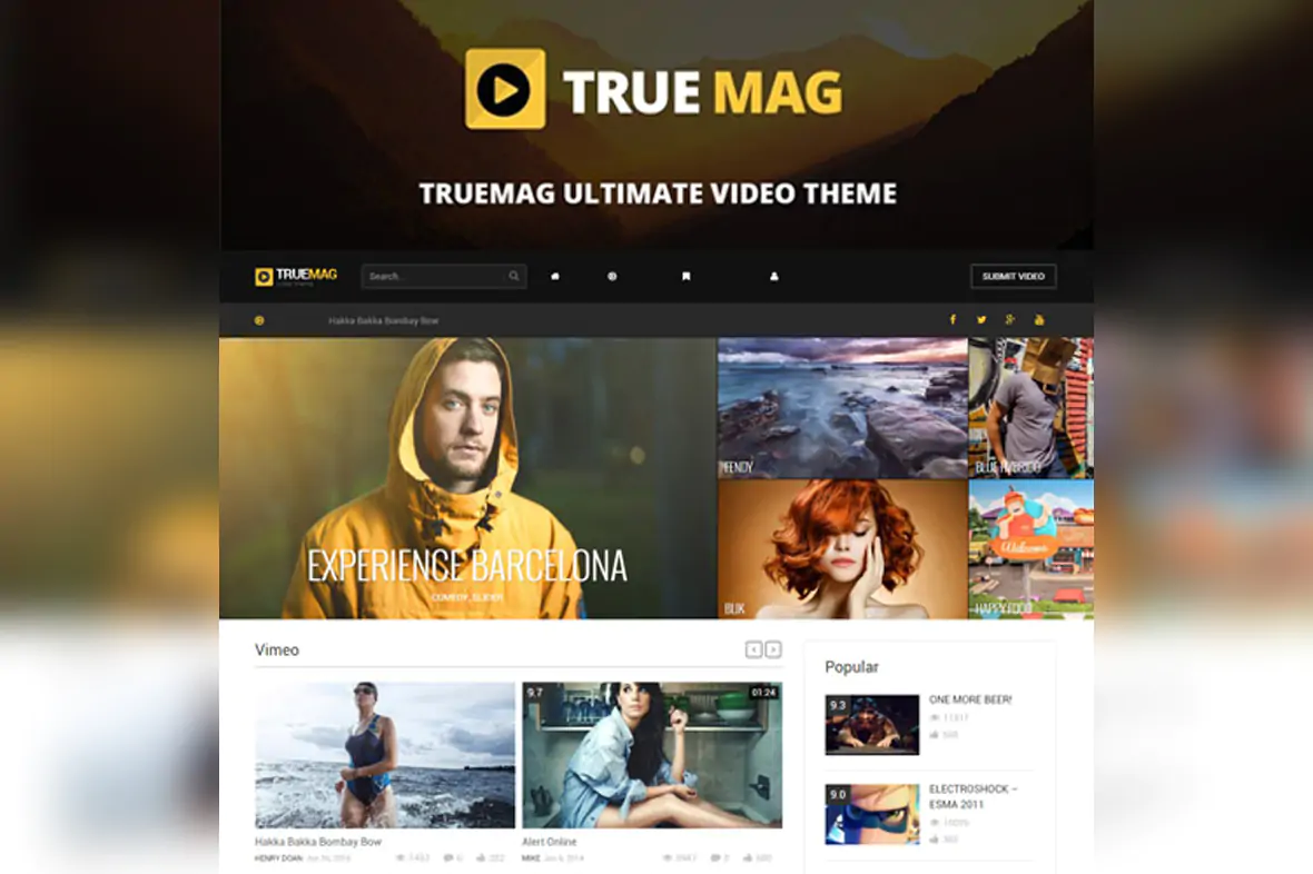 True Mag – WordPress Theme for Video and Magazine