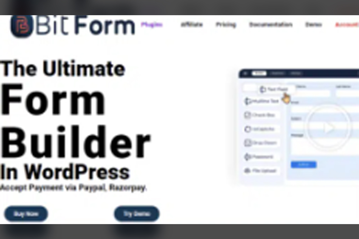 Bit Form Pro v2.12.8
