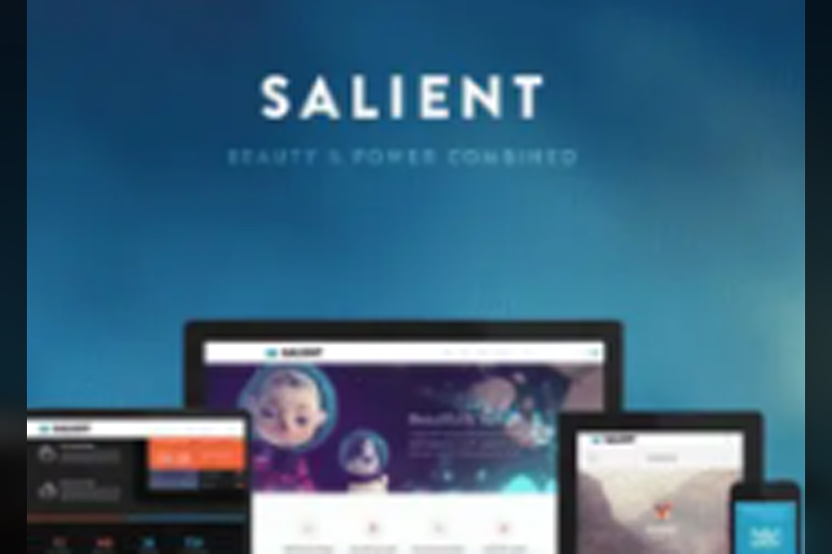 Salient – Responsive Multi-Purpose Theme v17.3.0