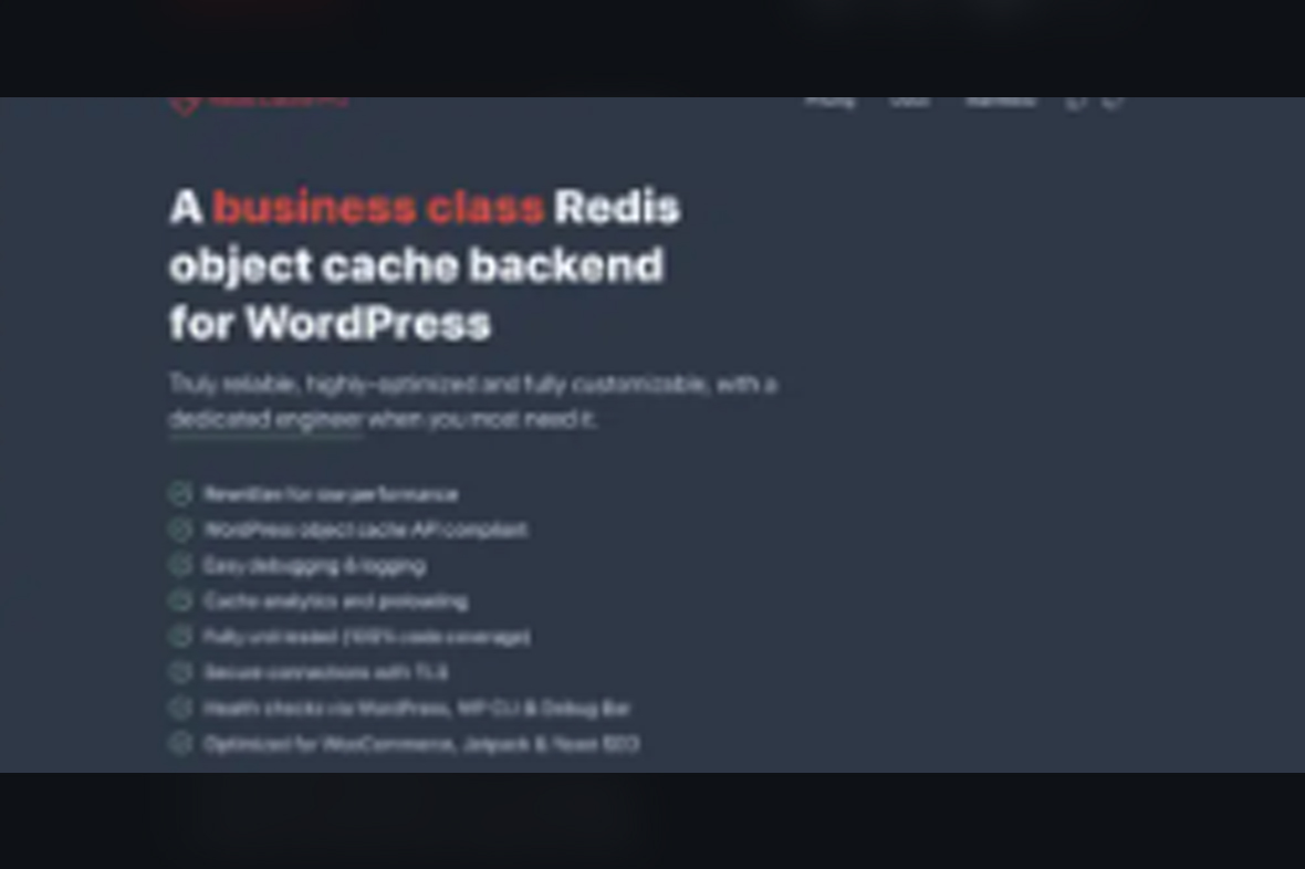 Redis Object Cache Pro v1.24.3