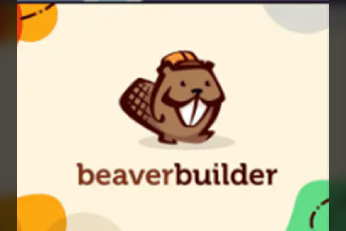 Beaver Builder Pro WordPress Plugin July 30, 2025