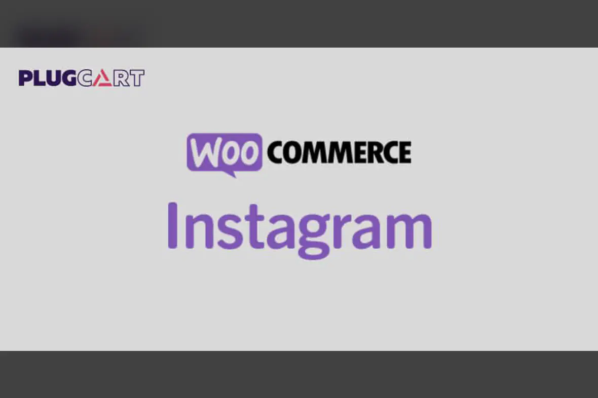 WooCommerce Instagram v4.7.0