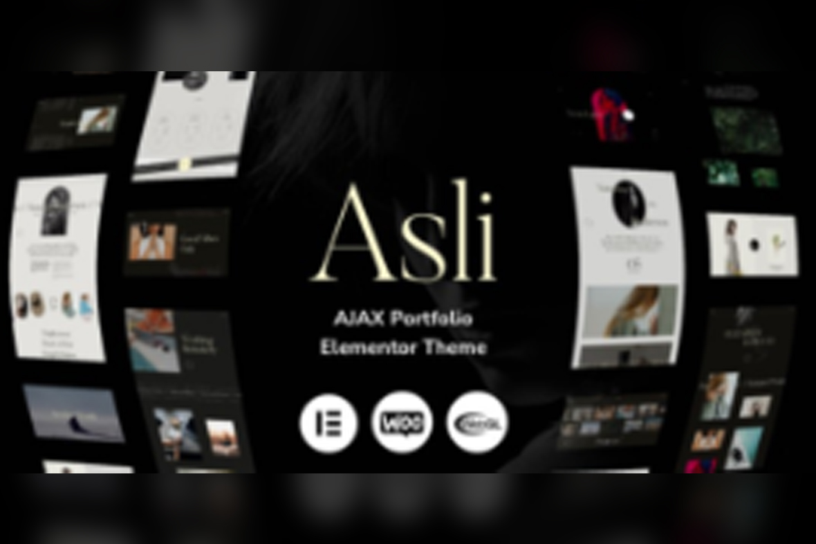 Asli – AJAX Portfolio Elementor WordPress Theme v1.8.7