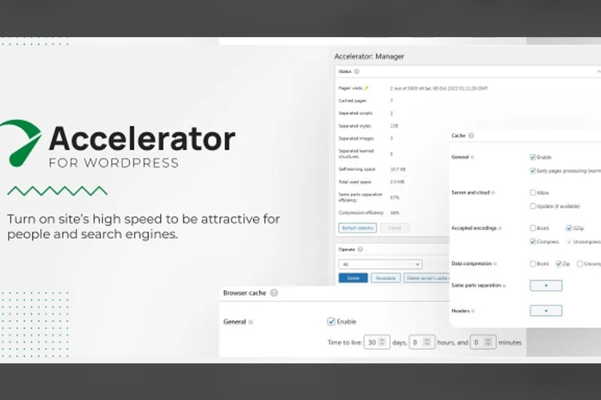 Seraphinite Accelerator v2.27.1