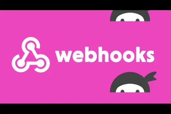 Ninja Forms Webhooks