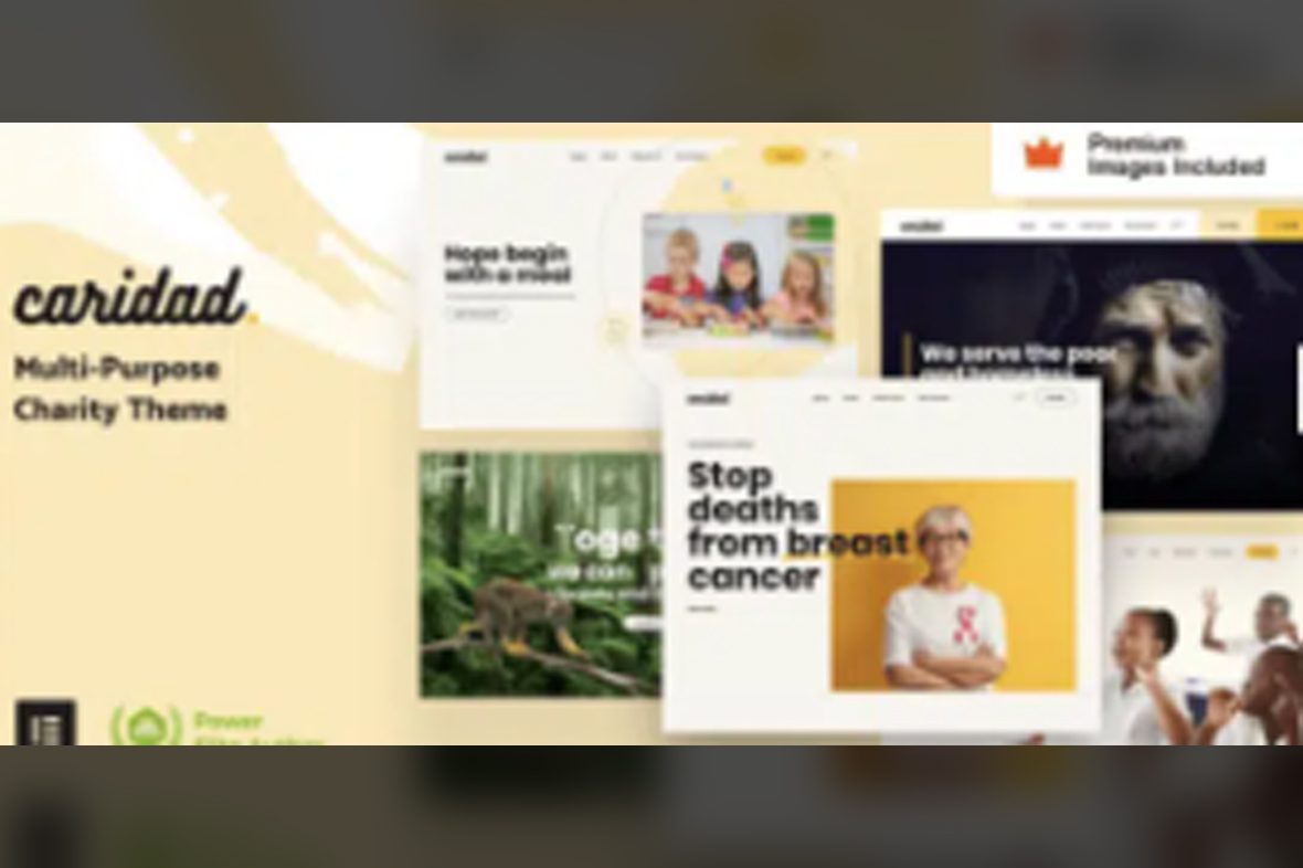 Caridad – Charity WordPress Theme v28.0