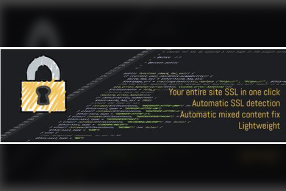 Really Simple SSL Pro v9.3.2