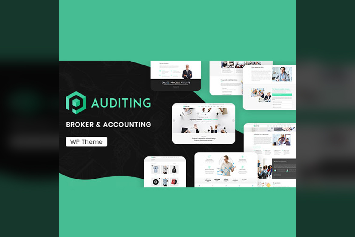 Auditing Accounting Consultant, Finance WordPress Theme v3.6