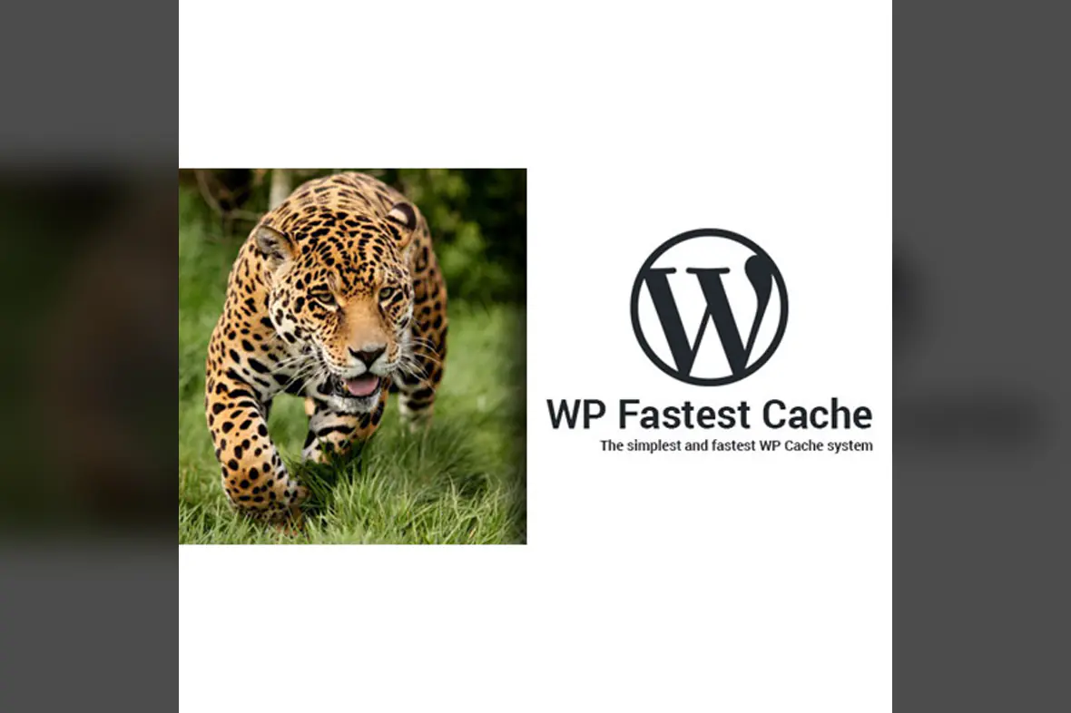 WP Fastest Cache WordPress Plugin – Premium v1.7.2