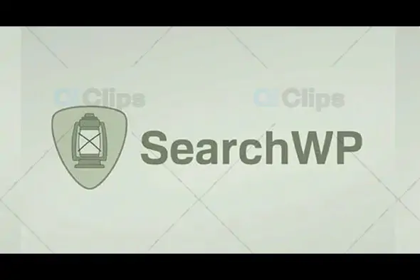 SearchWP Redirects