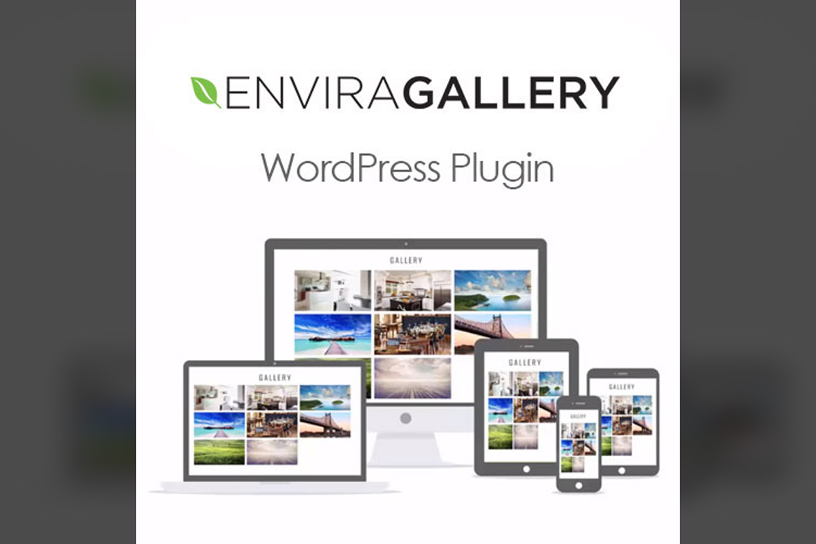 Envira Gallery WordPress Plugin v1.11.1