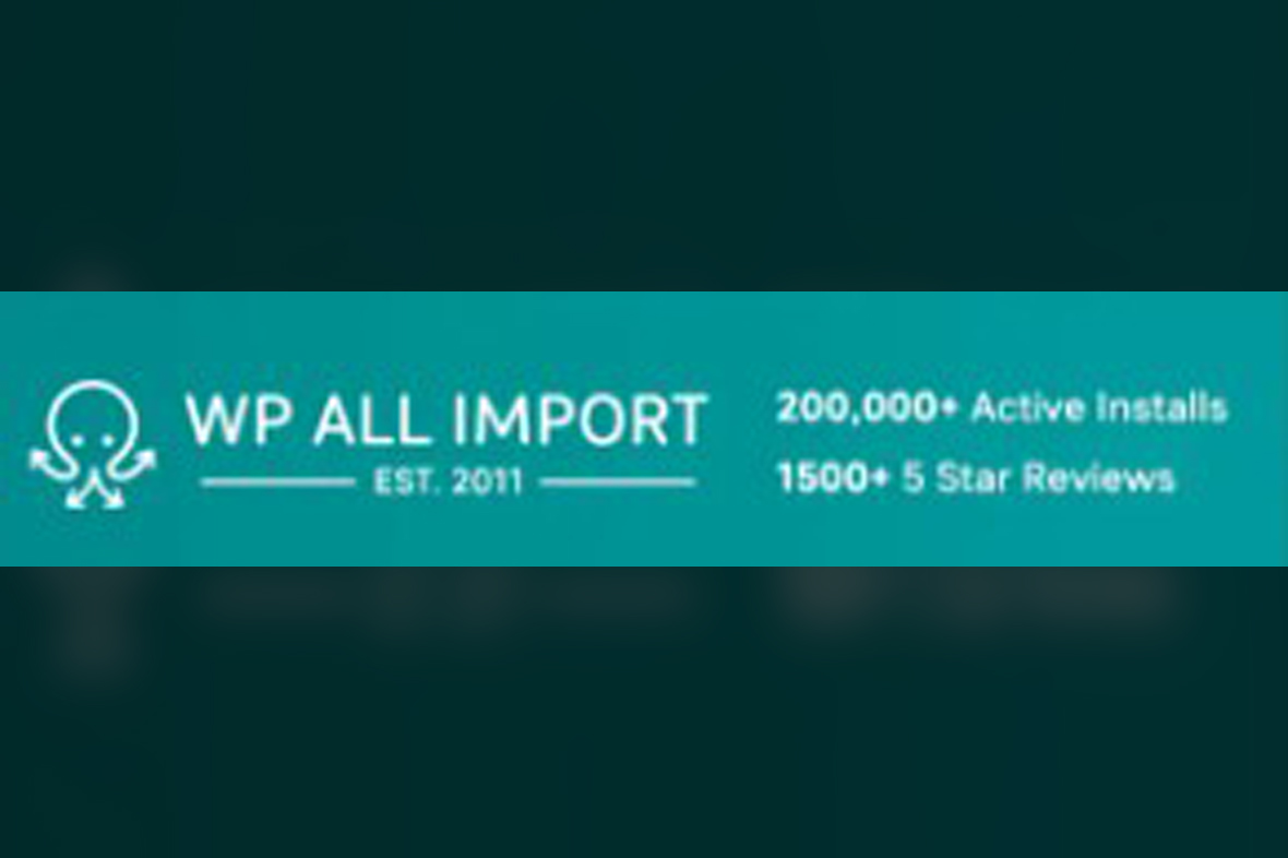 WP All Import Pro Plugin v4.11.1