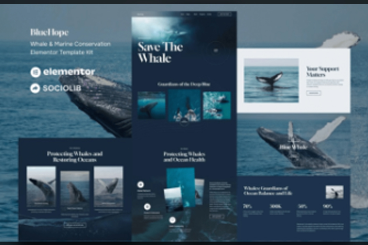 BlueHope – Whale and Marine Conservation Elementor Template Kit Mar-15