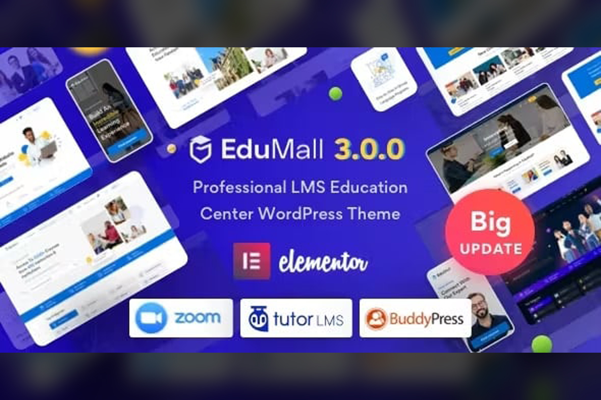 EduMall Theme – Professional LMS Education Center WordPress Theme v4.2.4