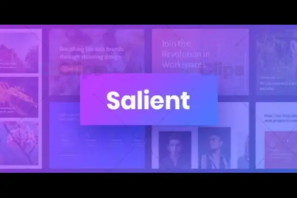 Salient - Responsive Multi-Purpose Theme