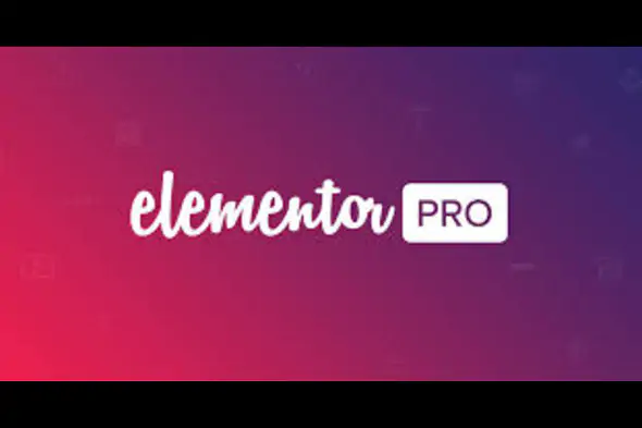 Elementor Pro