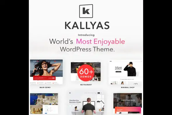 KALLYAS! The Ultimate Creative Multi-Purpose Ecommerce WordPress Theme!