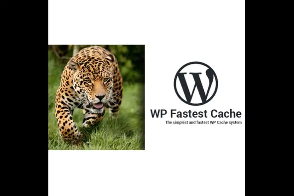 WP Fastest Cache WordPress Plugin – Premium