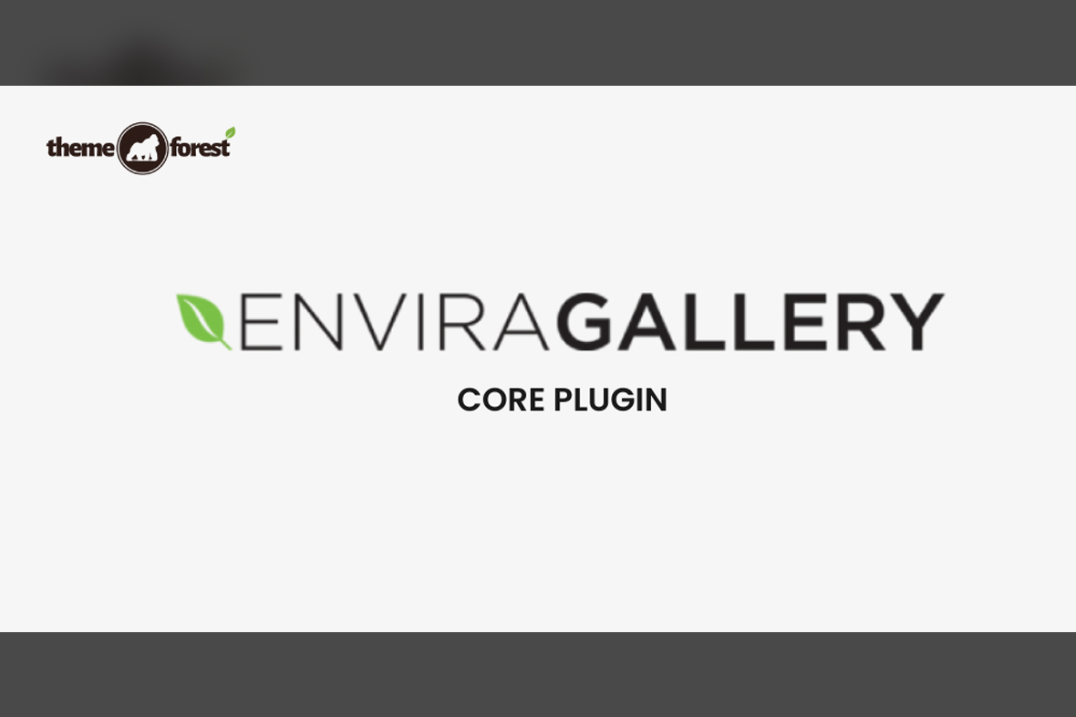 Envira Gallery v1.11.0