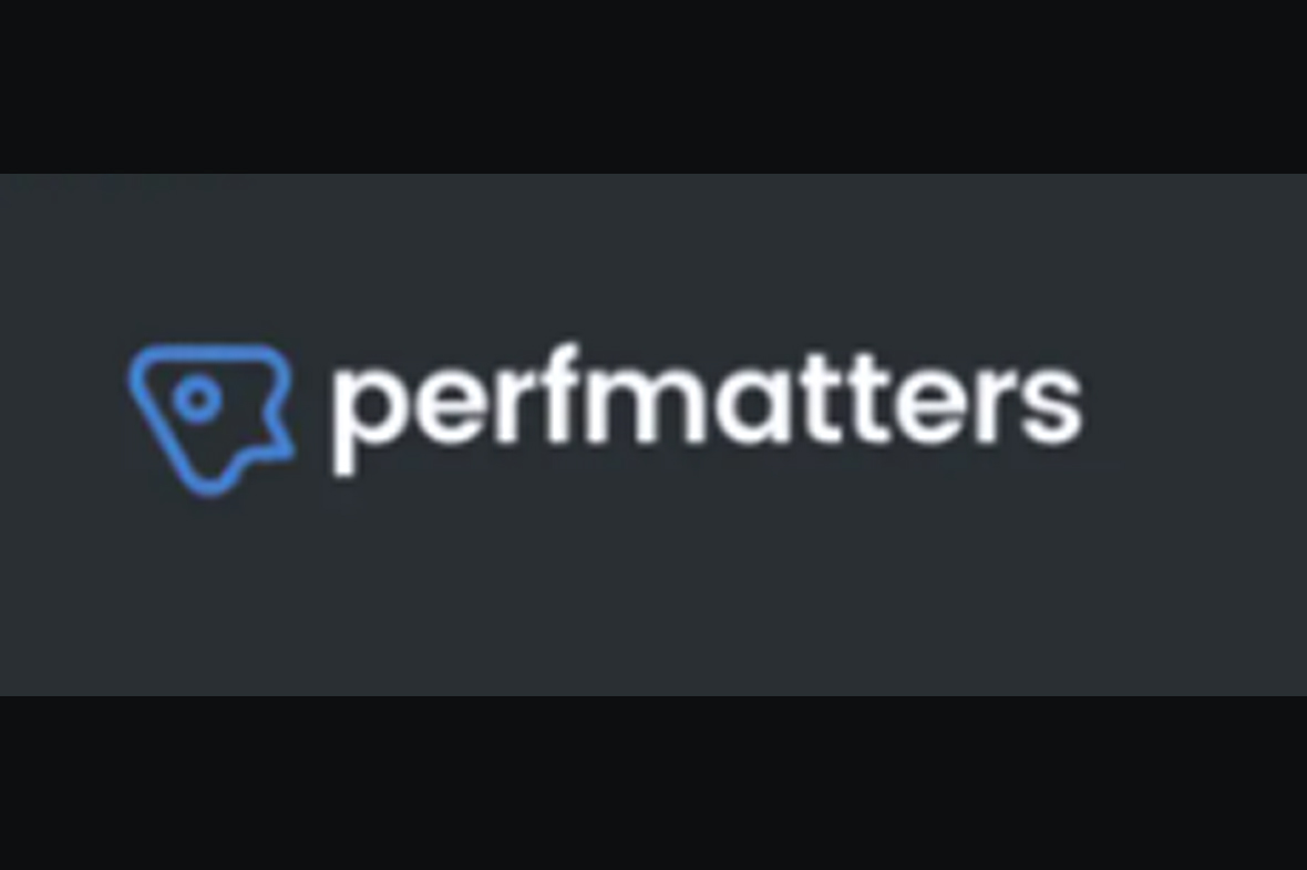 Perfmatters WordPress Plugin v2.4.8