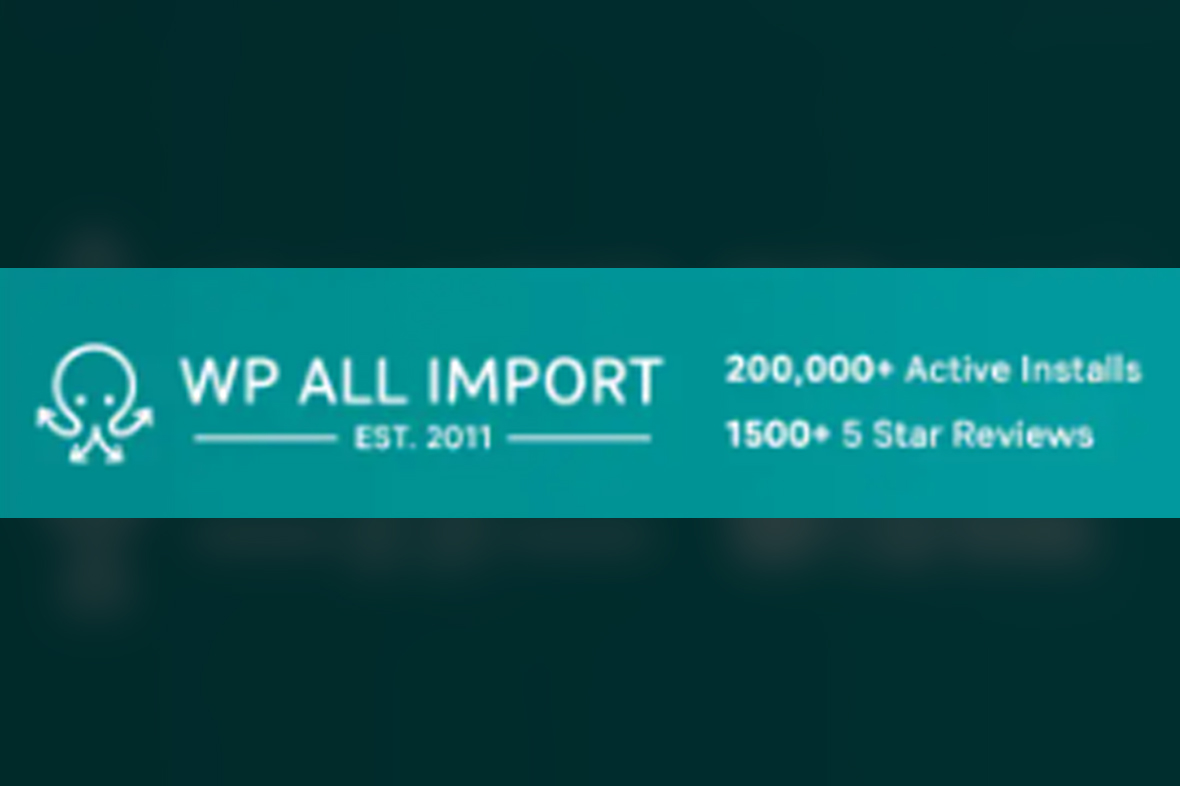 WP All Import Pro Plugin v4.11.5