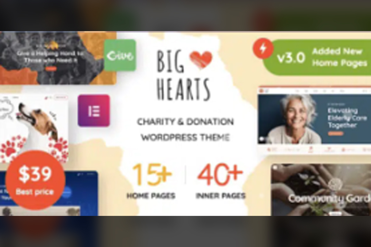 BigHearts – Charity and Donation WordPress Theme v3.1.11