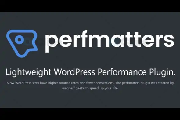 Perfmatters – Lightweight WordPress Performance Plugin