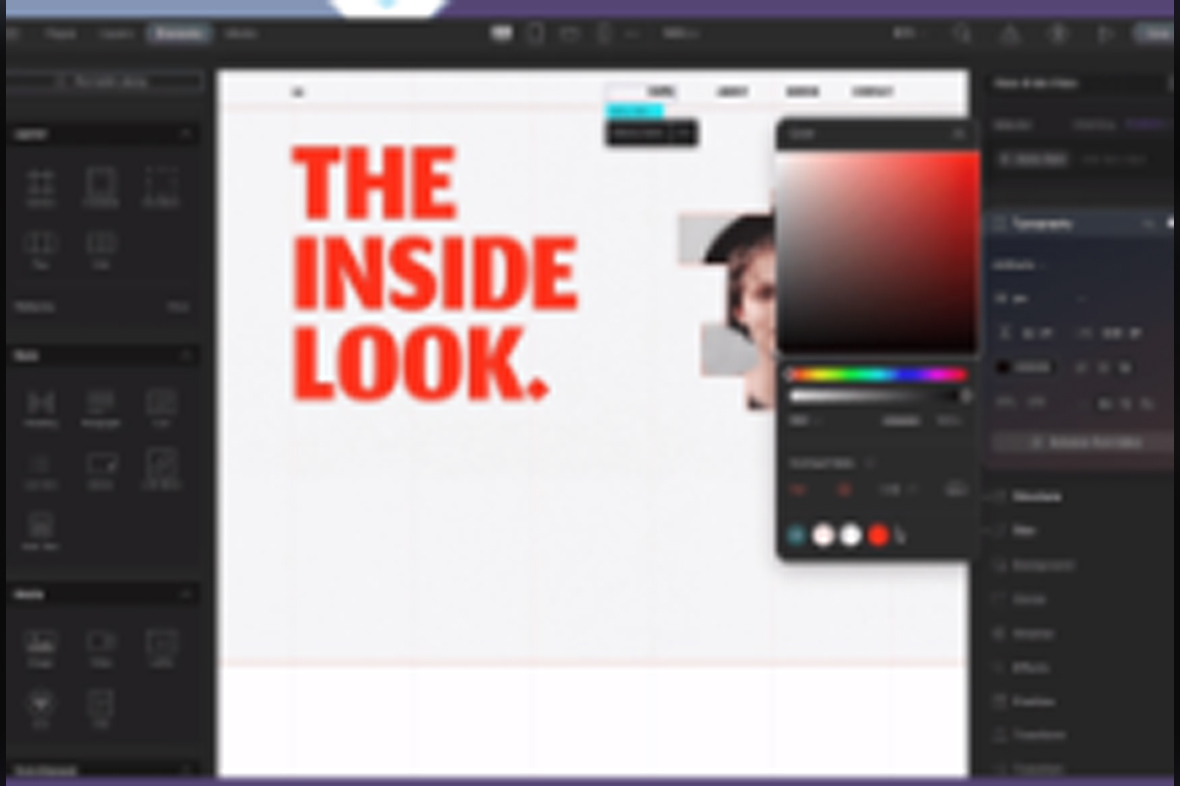 Droip – All-in-one No-Code Builder v2.3.5