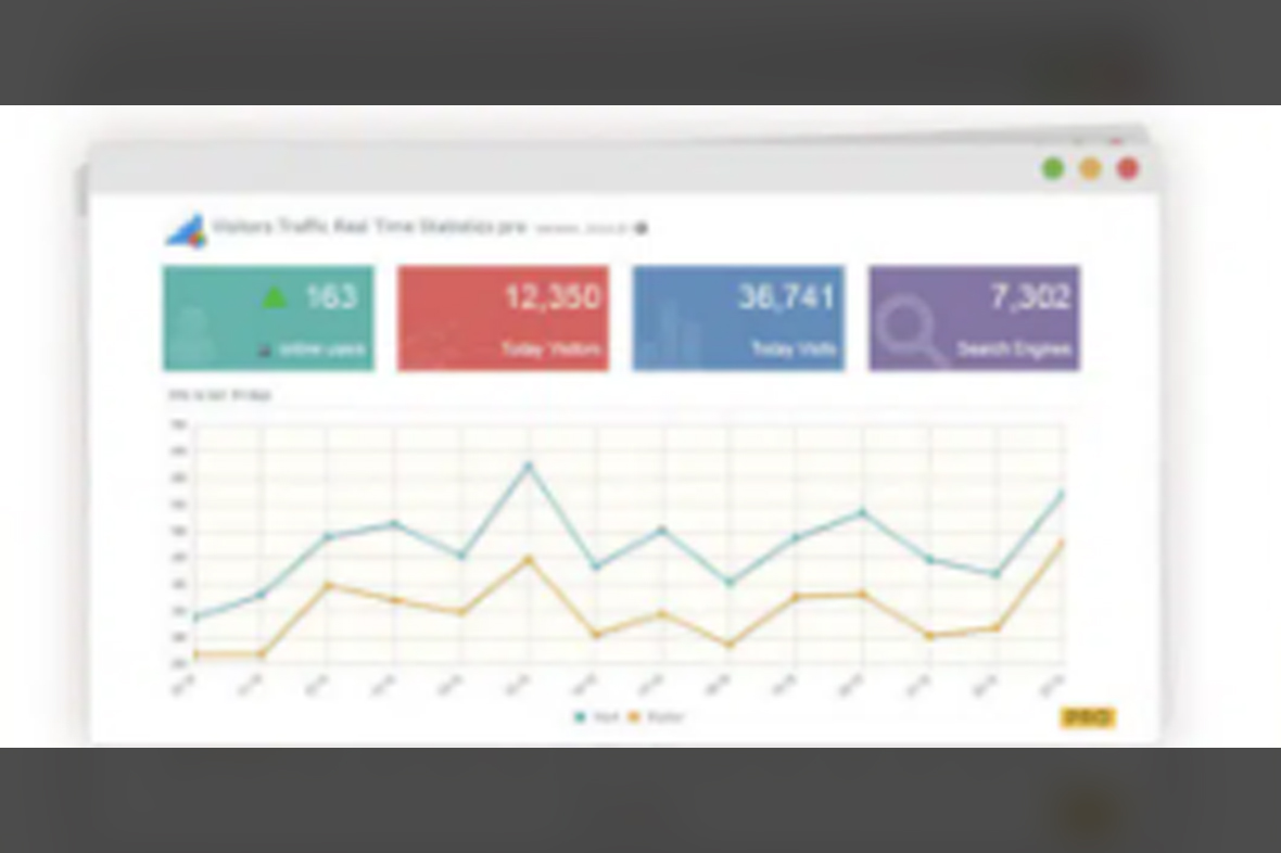 Visitor Traffic Real Time Statistics Pro v11.2