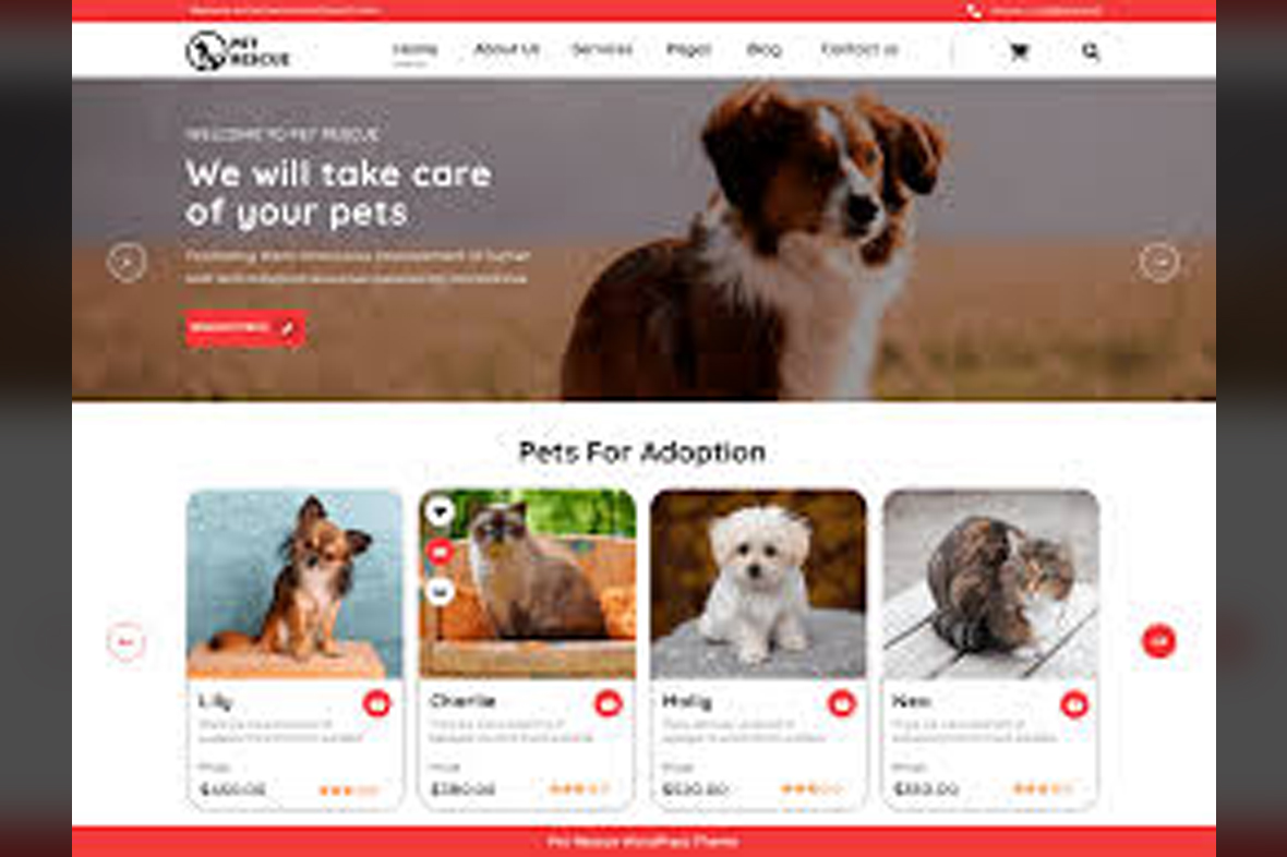 Pet Rescue – Animals and Shelter Charity WP Theme v2.2.1