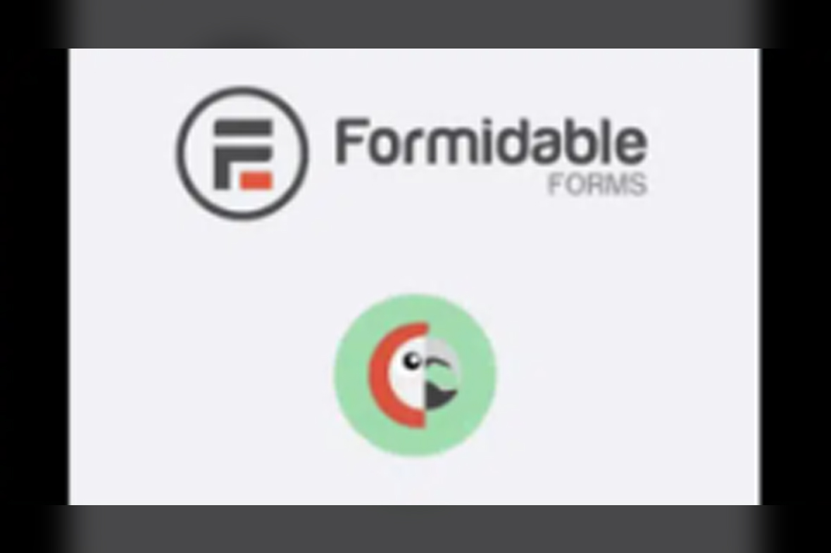 Formidable Forms – Polylang Multilingual Add-On v1.14