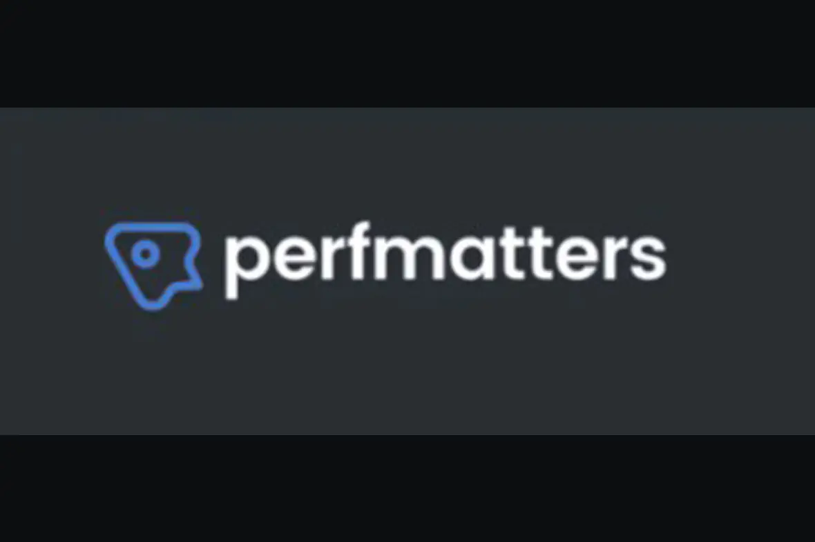 Perfmatters WordPress Plugin v2.3.9