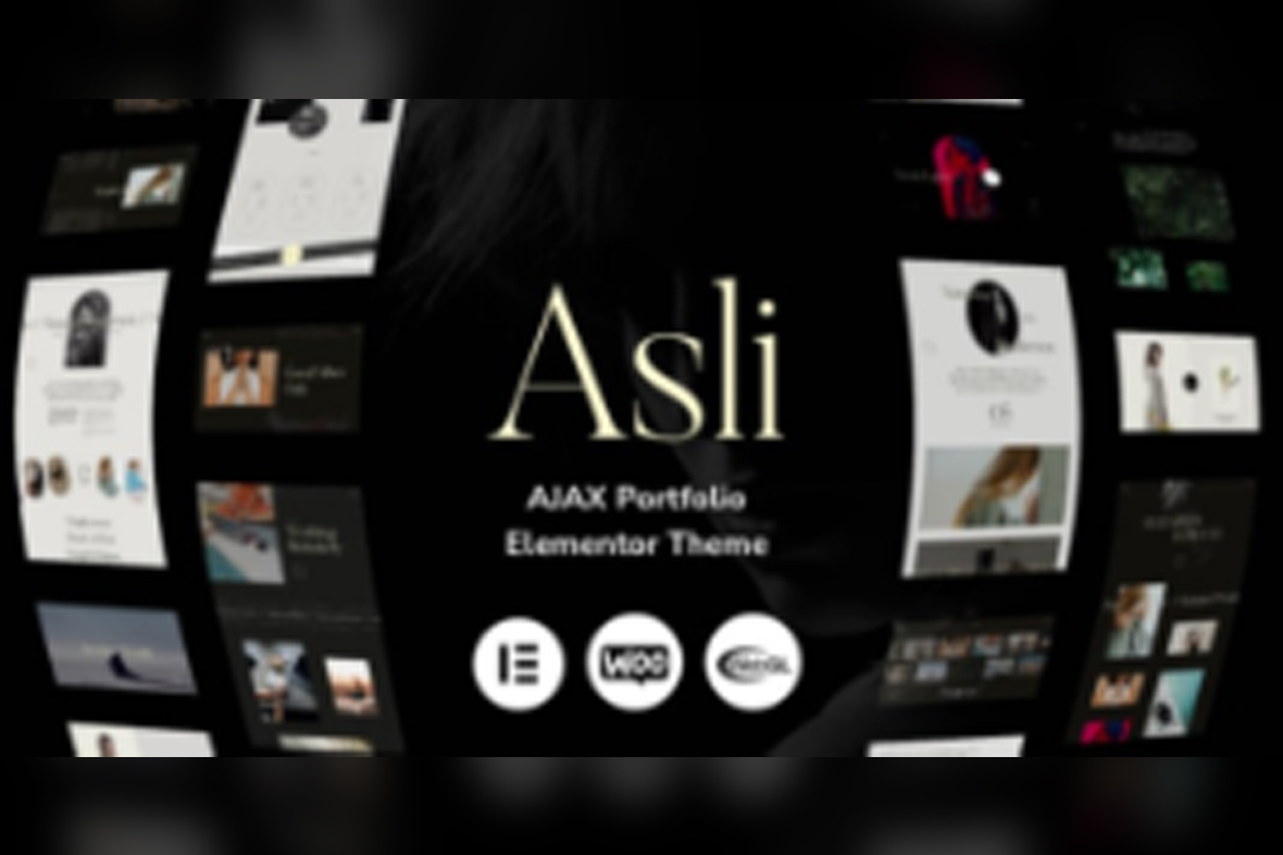 Asli – AJAX Portfolio Elementor WordPress Theme v1.9.3