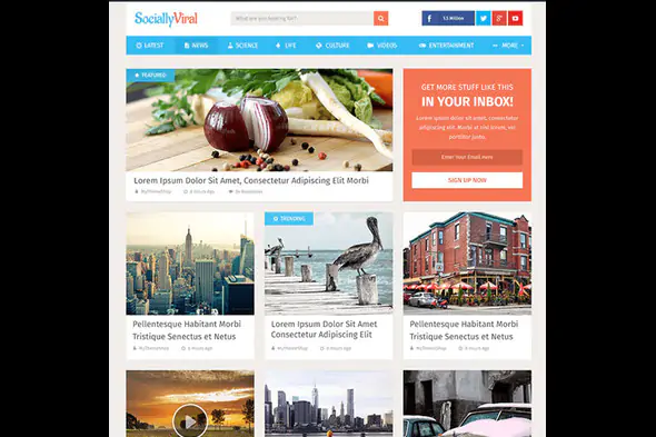 MyThemeShop SociallyViral WordPress Theme