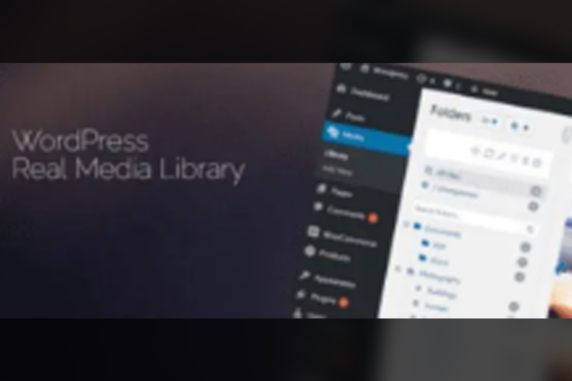 WordPress Real Media Library v4.22.41
