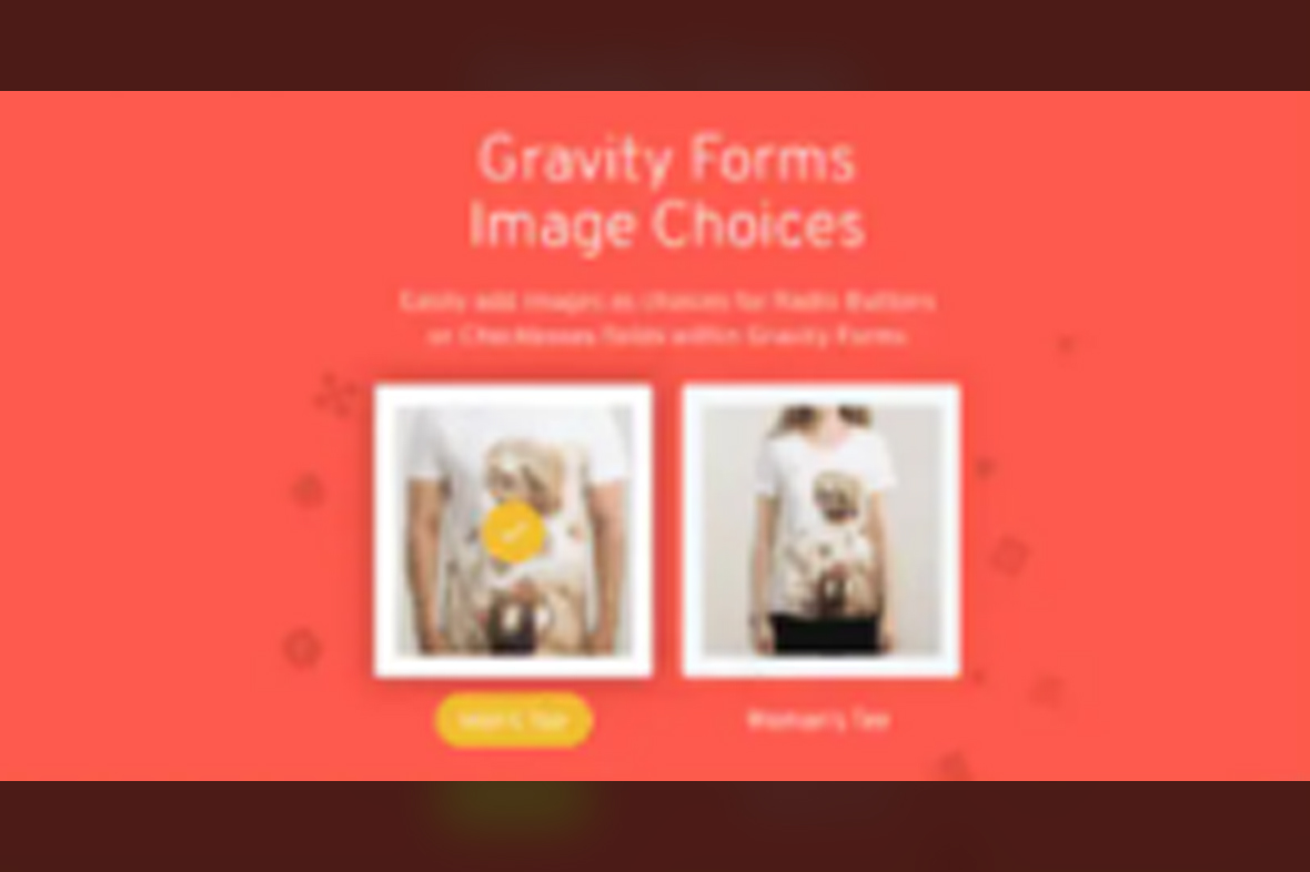 Jetsloth – Gravity Forms Image Choices v1.6.7