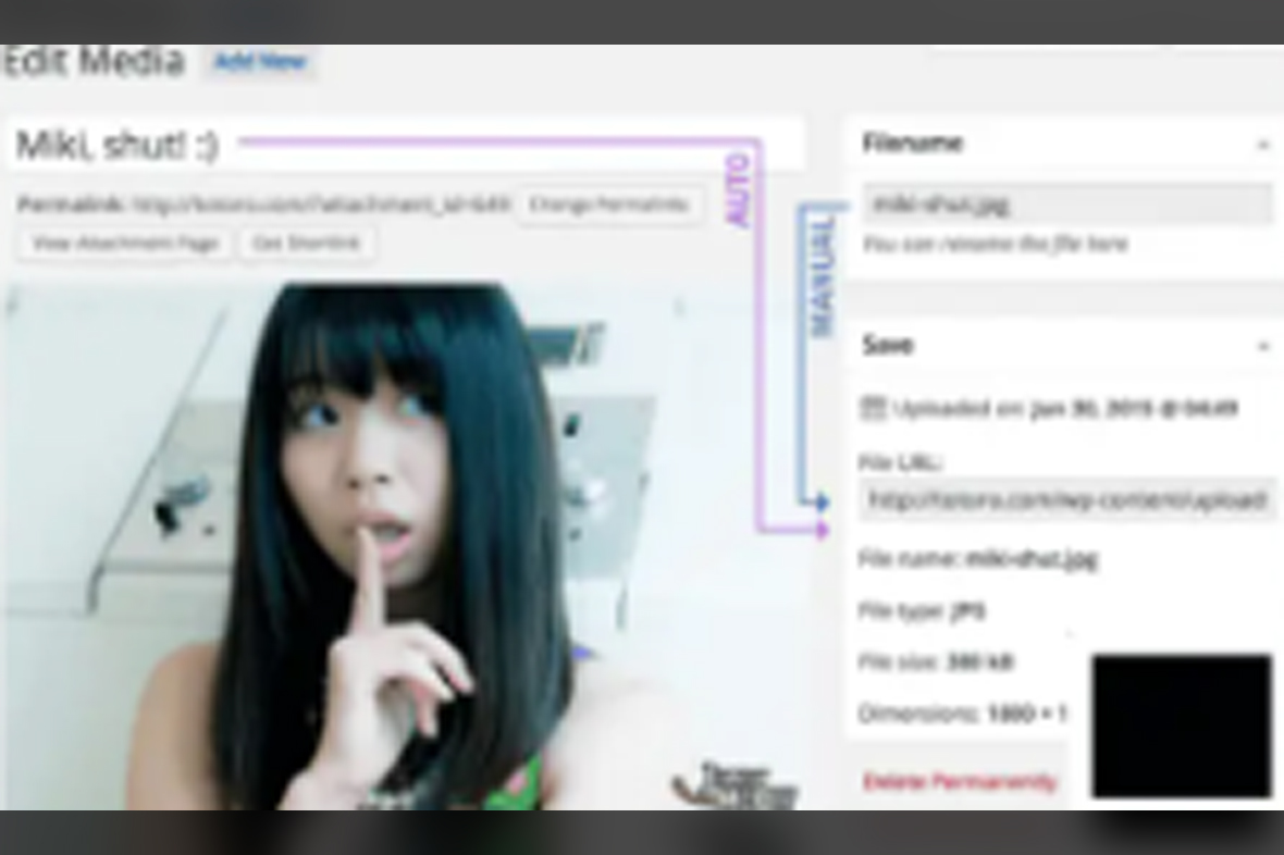 Media File Renamer Pro v6.1.5