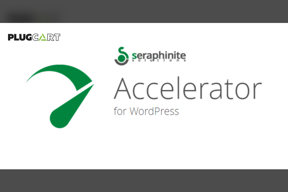 Seraphinite Accelerator v2.27.3