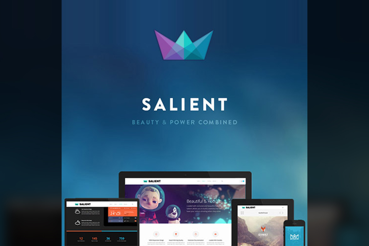 Salient – Responsive Multi-Purpose Theme v17.1.0