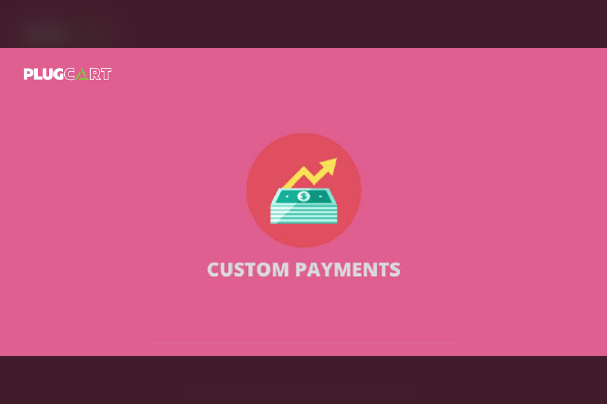 Custom Payment Gateway Pro – Extension for WooCommerce v3.1.0