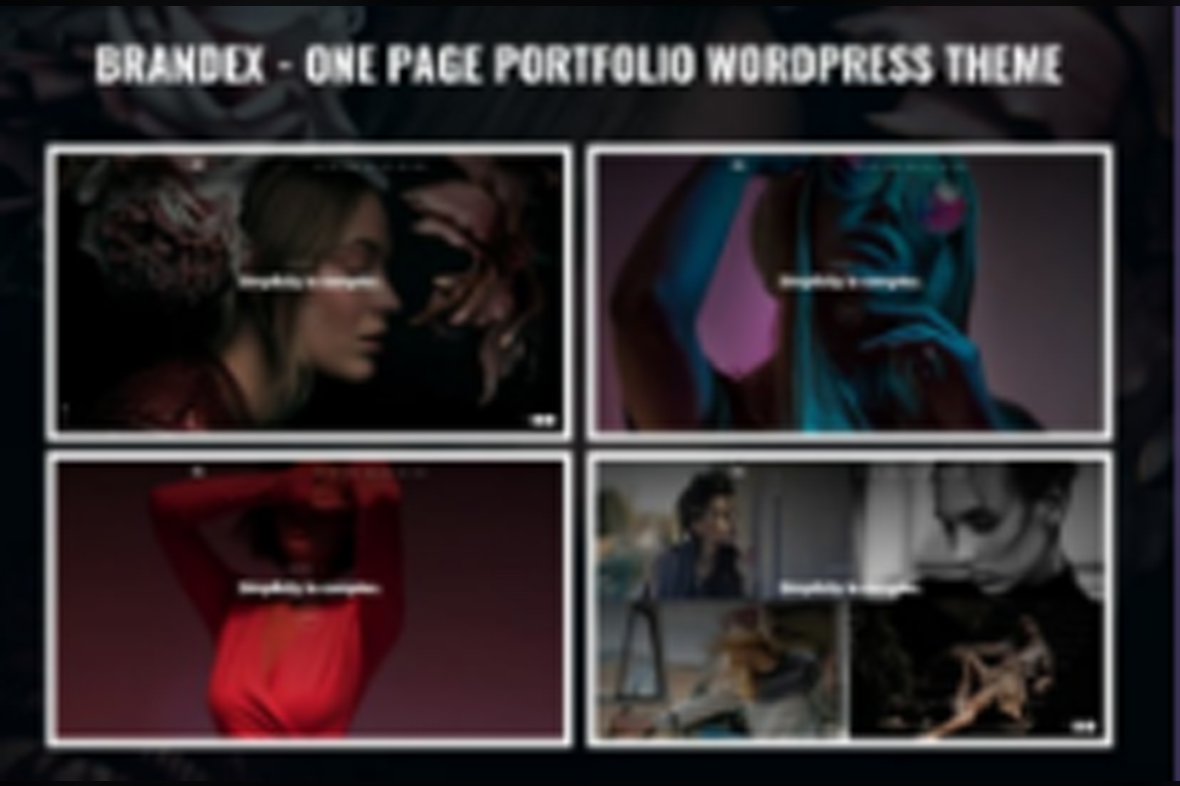 Brandex – One Page Portfolio WordPress Theme v1.0