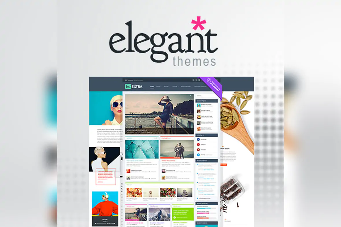 Elegant Themes Extra WordPress Theme