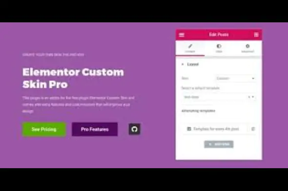 Elementor Custom Skin Pro